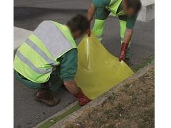 Obturateur Obturateur